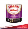 ปลาฉลาม น้ำยารองพื้นปูนเก่า / Toa Shark Contact Primer