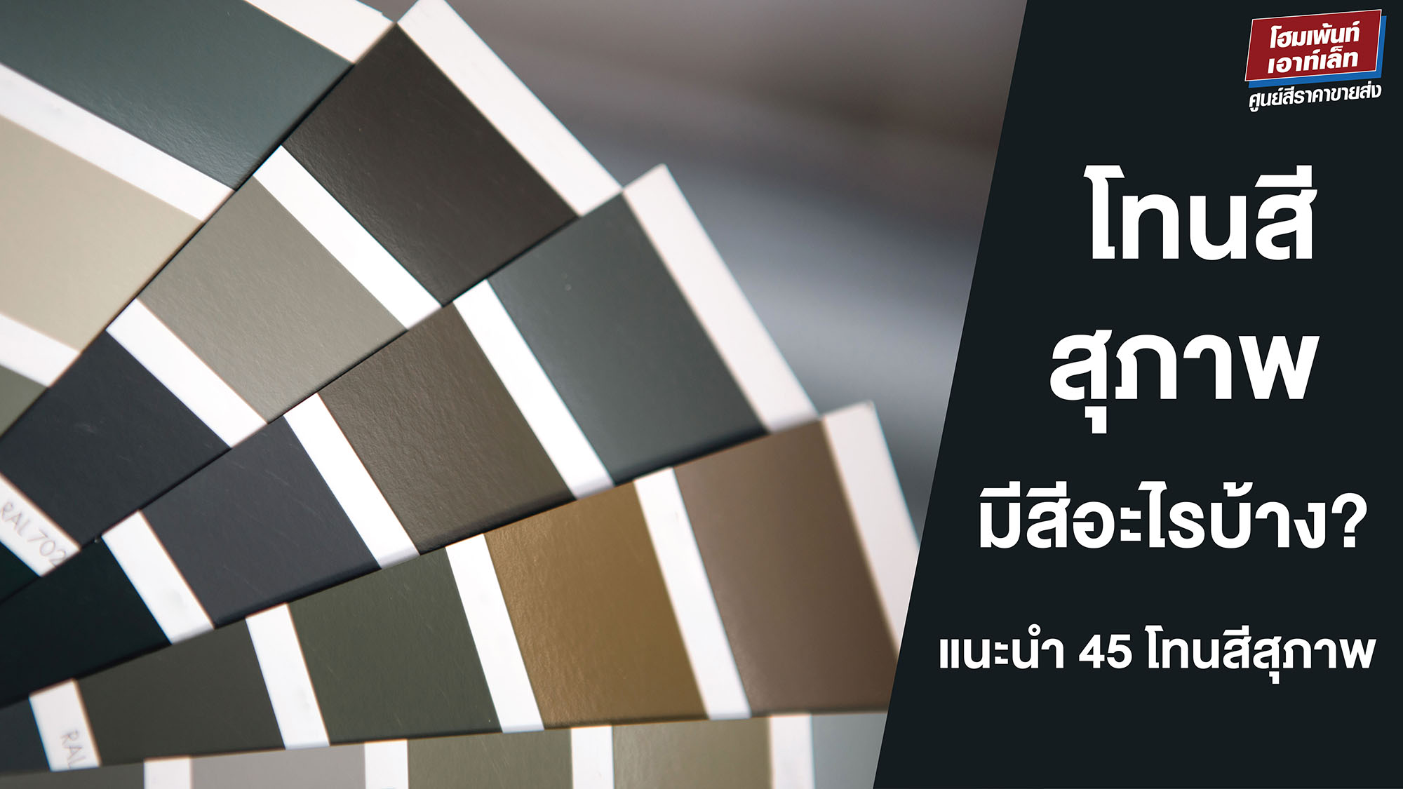 โทนสีสุภาพมีสีอะไรบ้าง? แนะนำ 45 โทนสีสุภาพแบบไทยแท้และเป็นทางการที่มีมากกว่าแค่สีขาว-ดำ