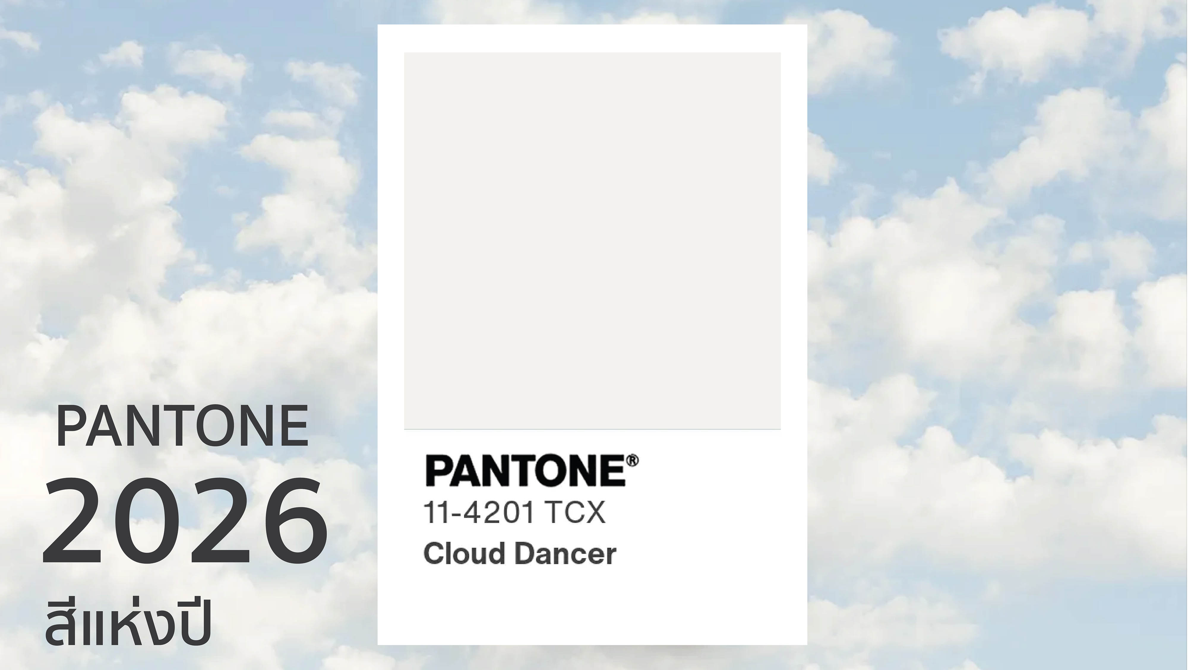 สีประจำปี 2026 Pantone “Cloud Dancer” สีขาวแห่งความสงบและเรียบง่าย 