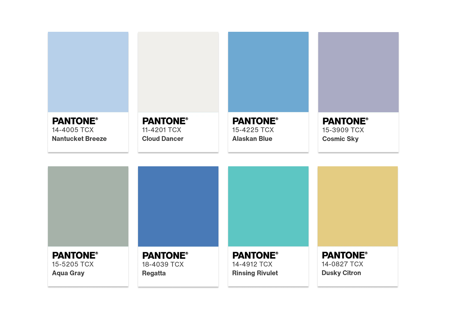 สีประจำปี 2026 Pantone “Cloud Dancer” สีขาวแห่งความสงบและเรียบง่าย 