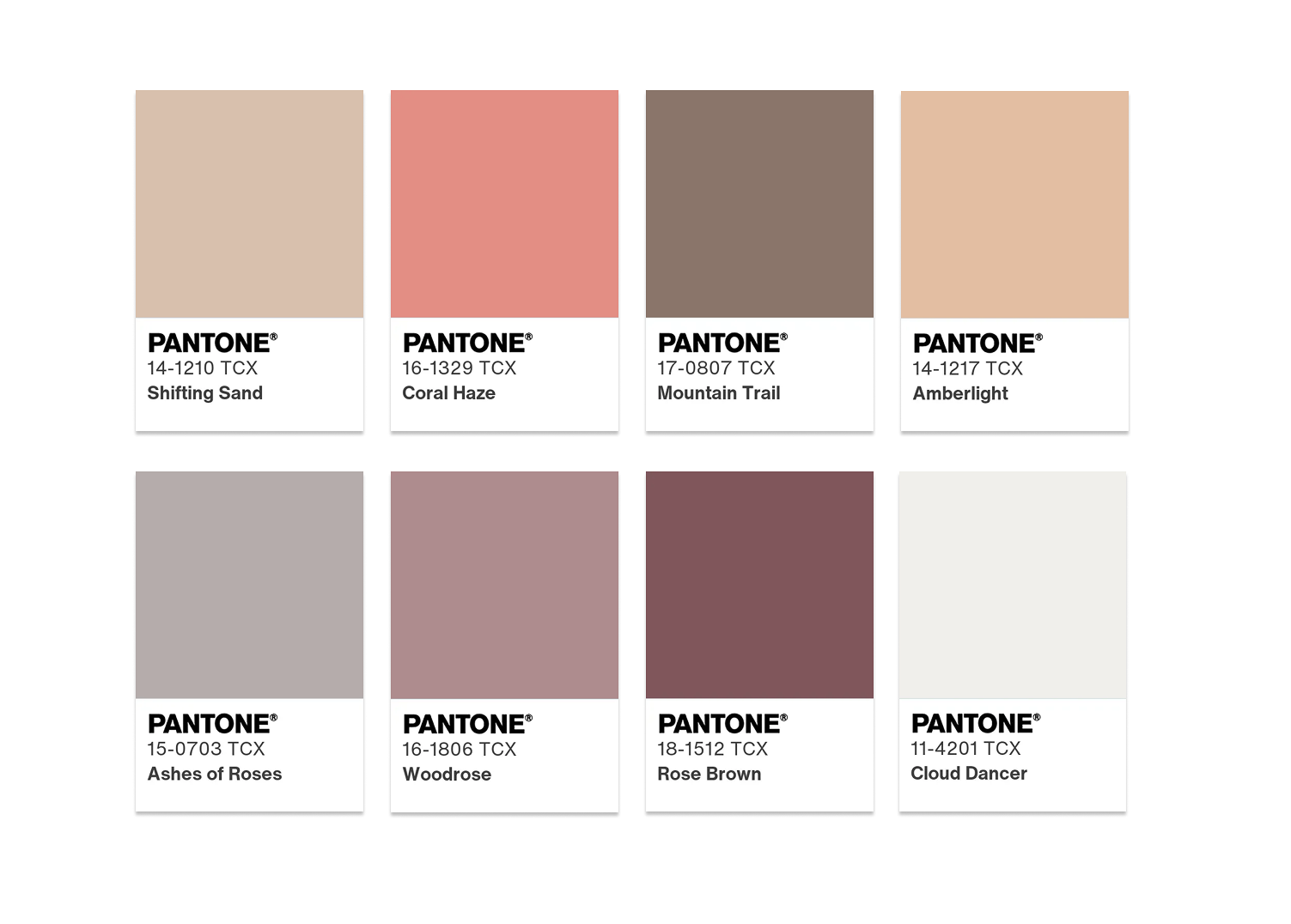 สีประจำปี 2026 Pantone “Cloud Dancer” สีขาวแห่งความสงบและเรียบง่าย 