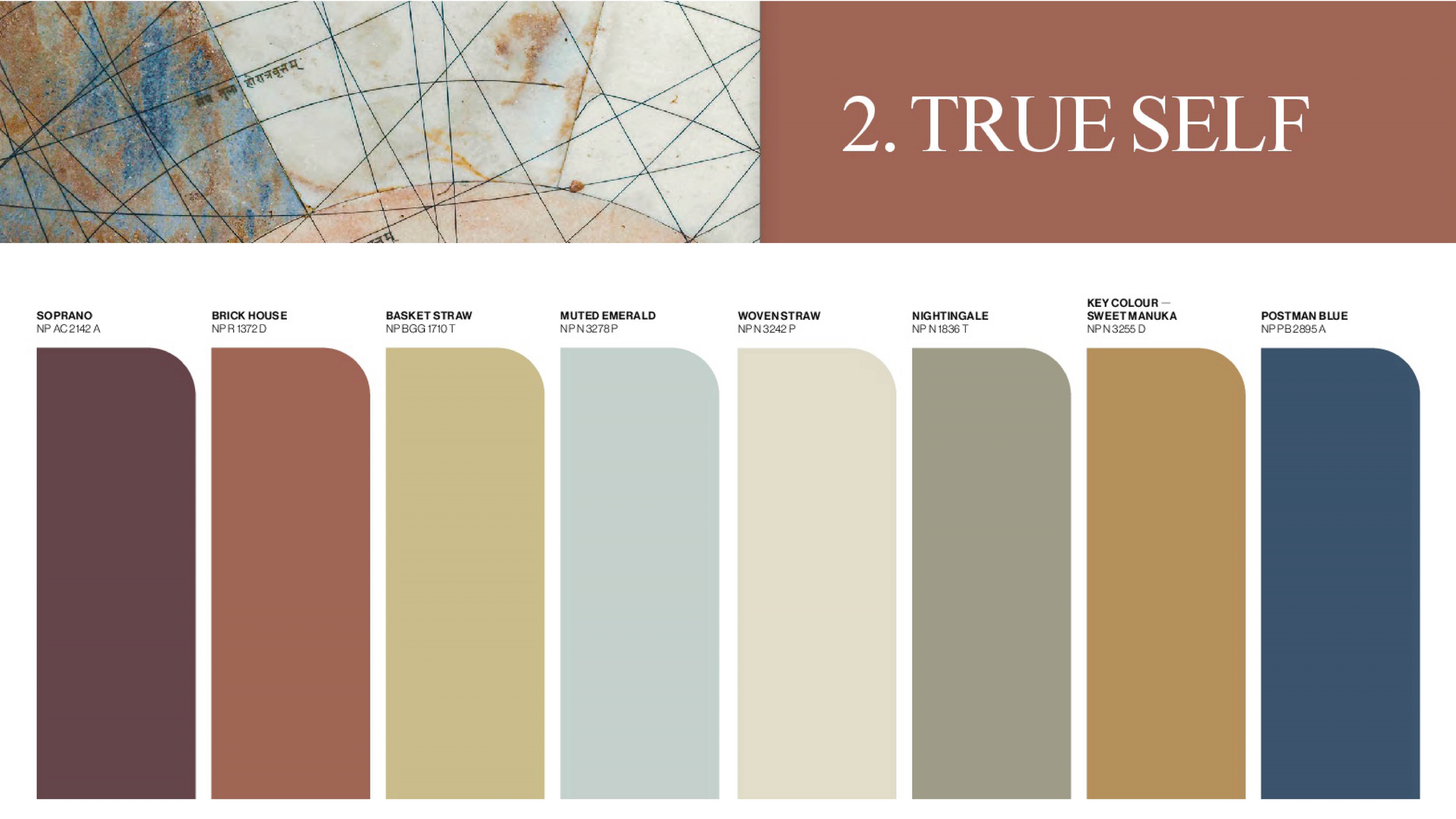 ส่องเทรนด์สีปี 2026 จาก Nippon Paint: 