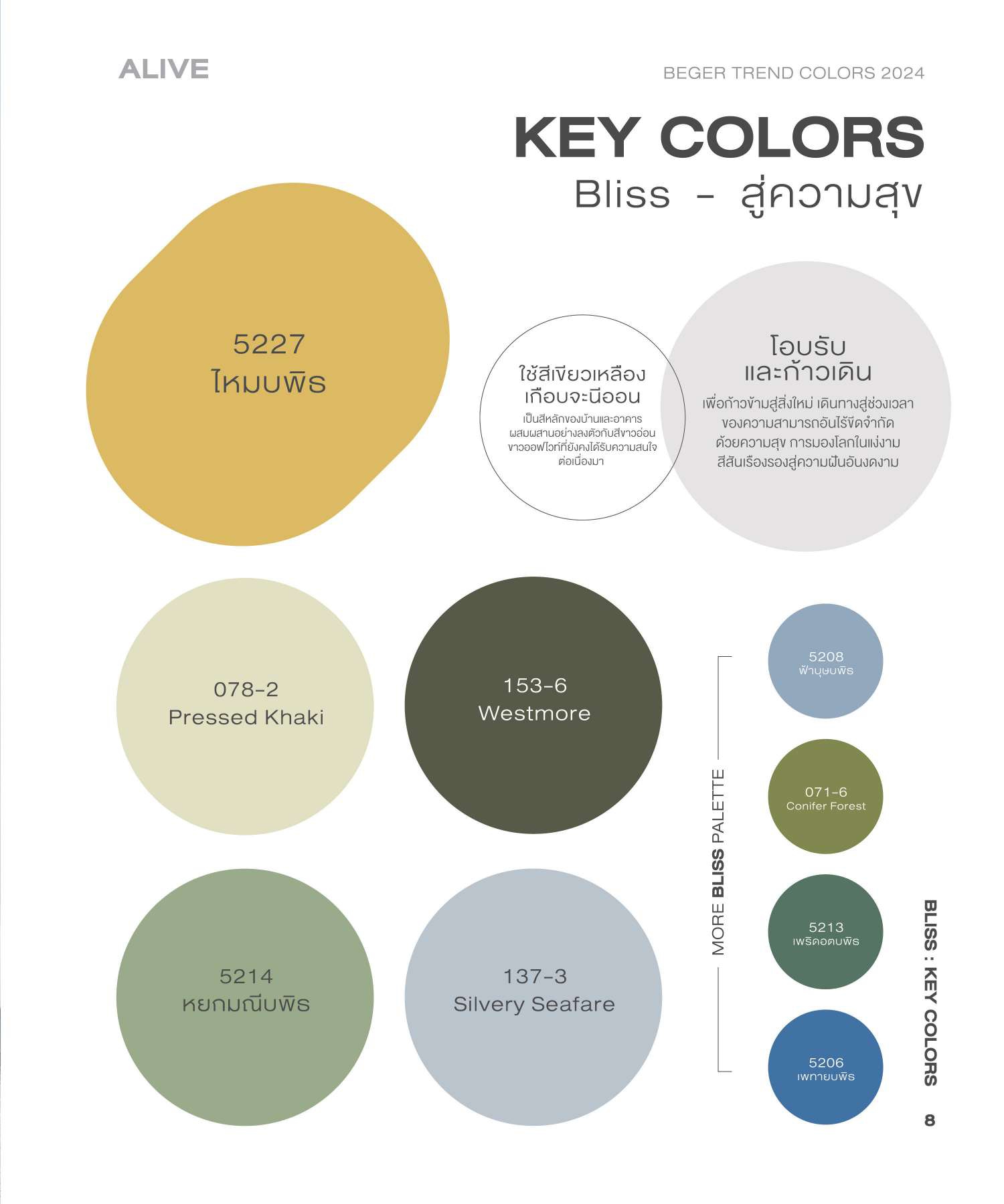 เบเยอร์ เทรนด์ คัลเลอร์ ปี 2024 BEGER TREND COLORS 2024 Catalog