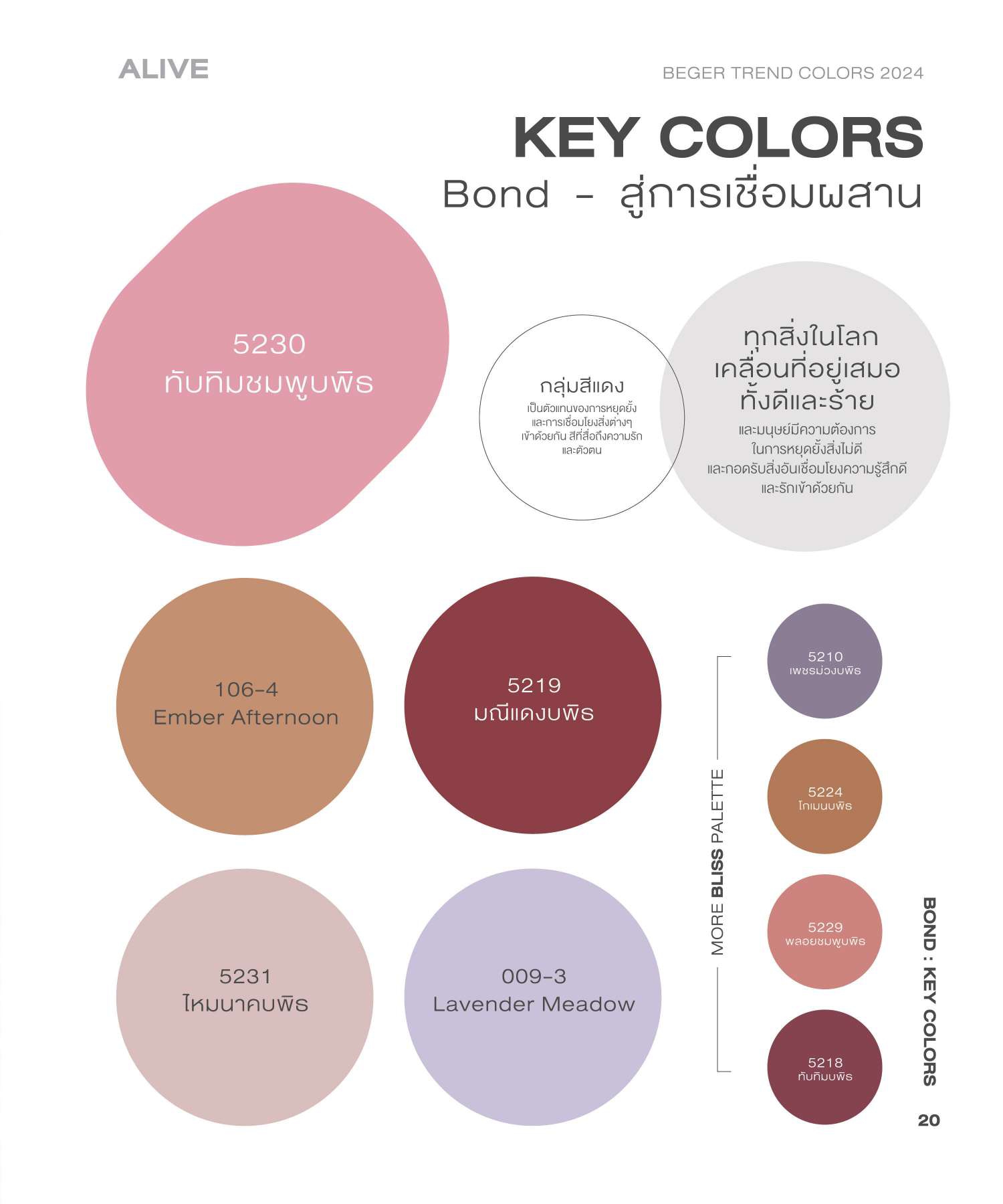 เบเยอร์ เทรนด์ คัลเลอร์ ปี 2024 BEGER TREND COLORS 2024 Catalog