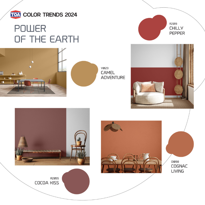 Toa ทีโอเอ เทรนสีประจำปี Colour Trend 2024