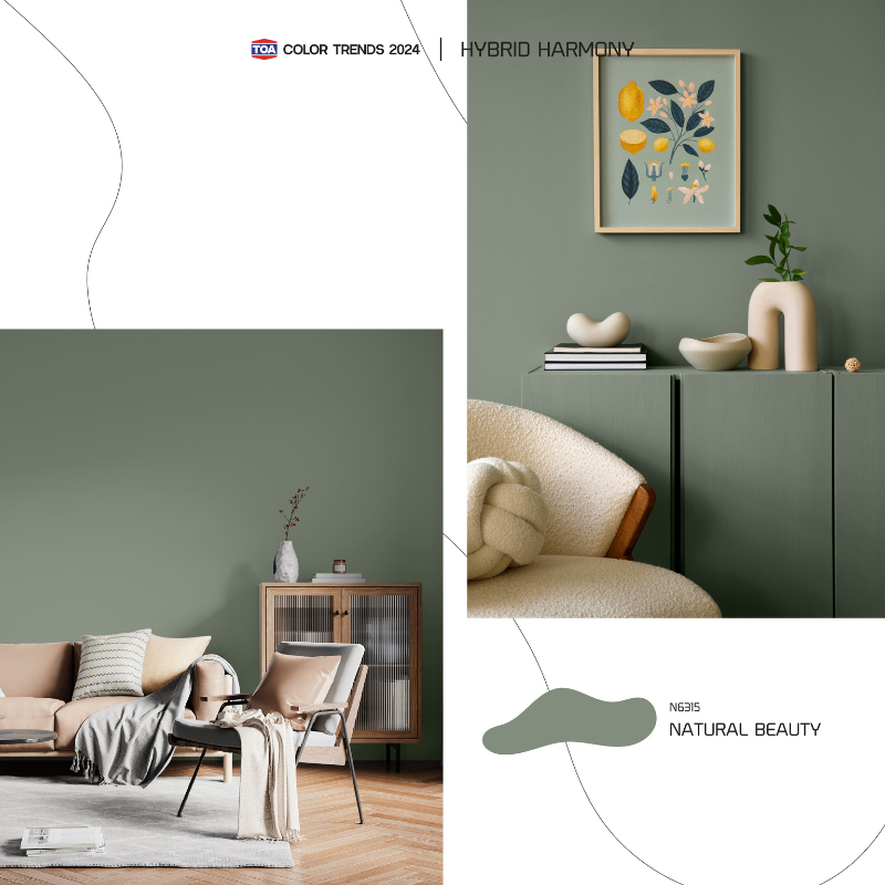 Toa ทีโอเอ เทรนสีประจำปี Colour Trend 2024