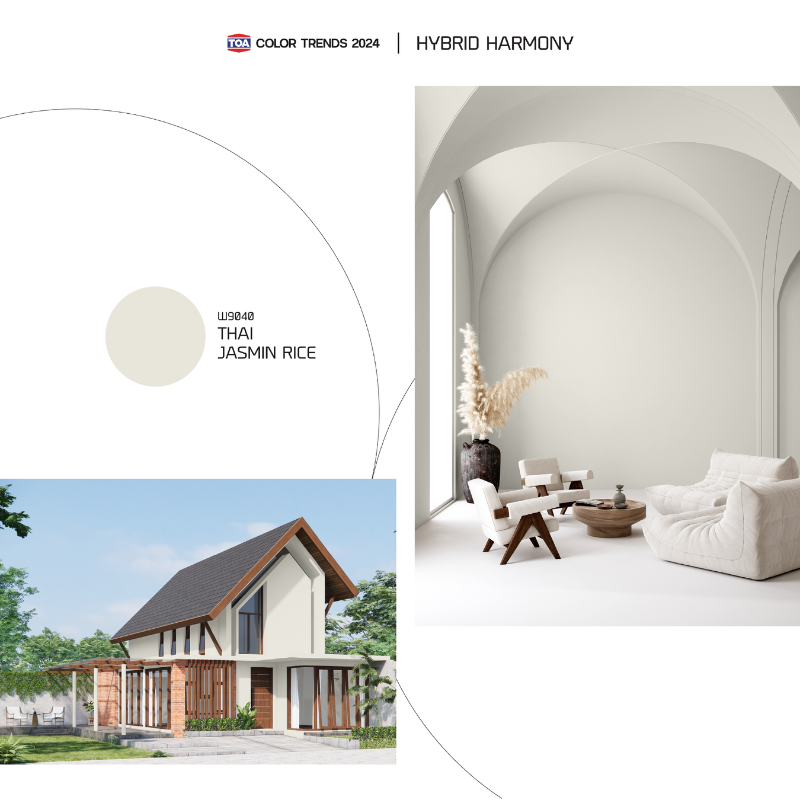 Toa ทีโอเอ เทรนสีประจำปี Colour Trend 2024